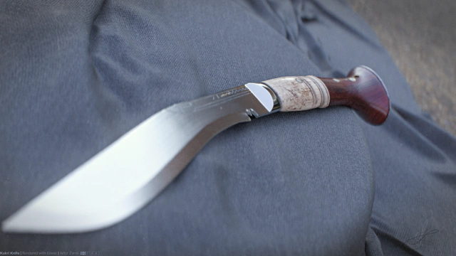 Macro shot of the blade.