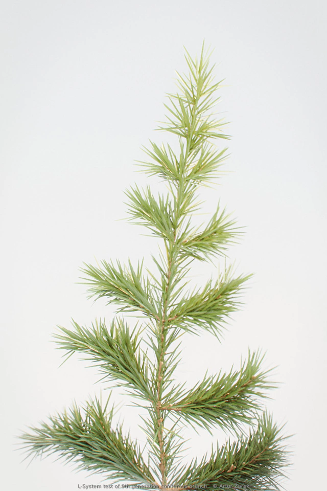 Macro rendering of L-System conifer brach on white background.
